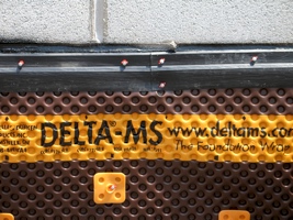 DELTA® MS